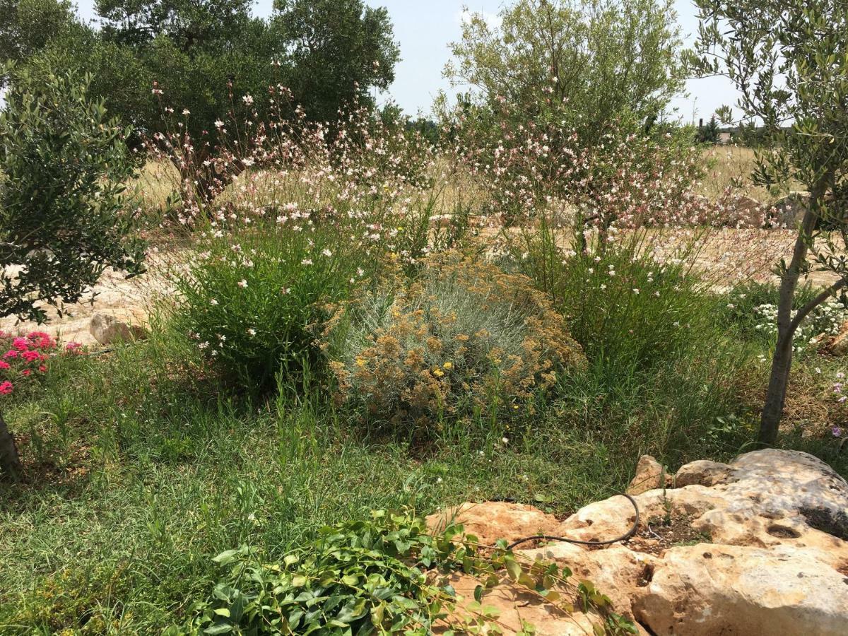 Trulli Relais Casa Gemma Villa Martina Franca Dış mekan fotoğraf